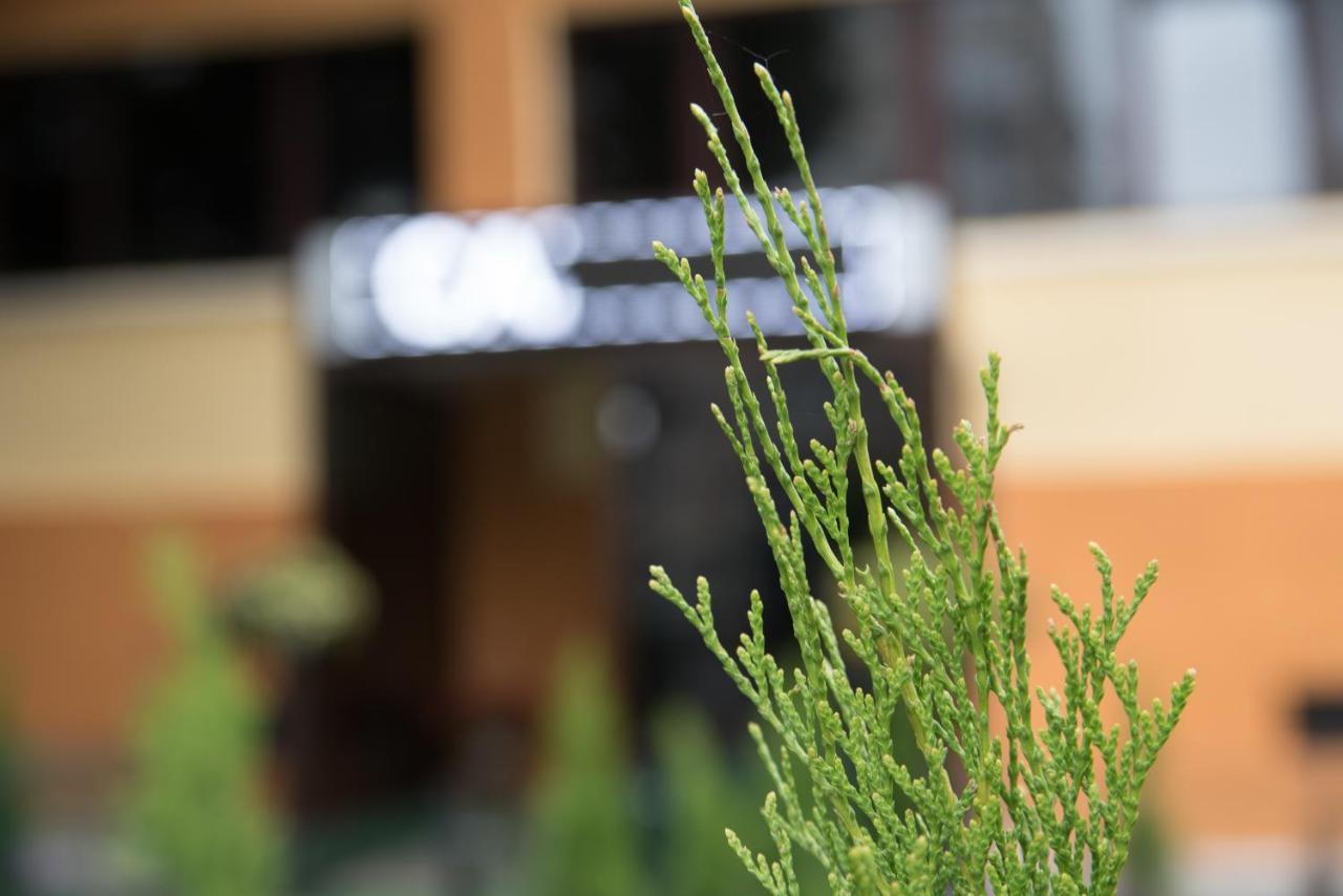 Dream Accommodation Βουκουρέστι Εξωτερικό φωτογραφία